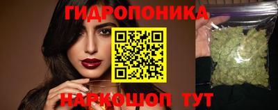 метадон Аргун