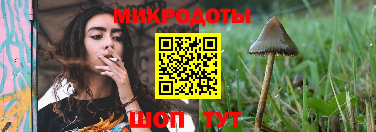 Галлюциногенные грибы мухоморы Вышний Волочёк